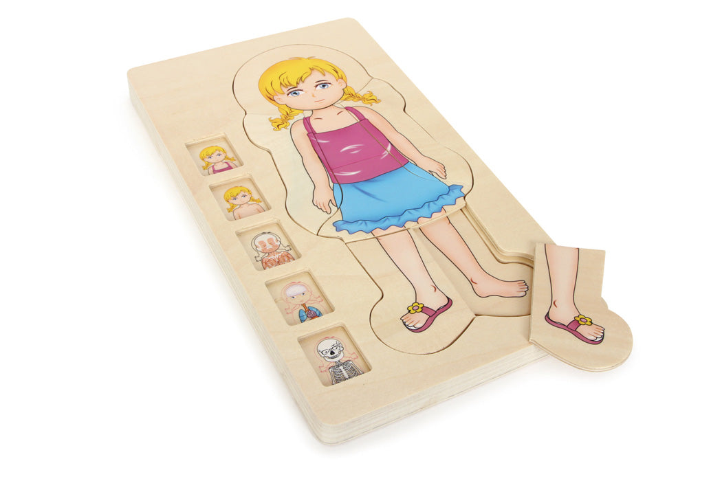 Puzzle a strati Anatomia Ragazza