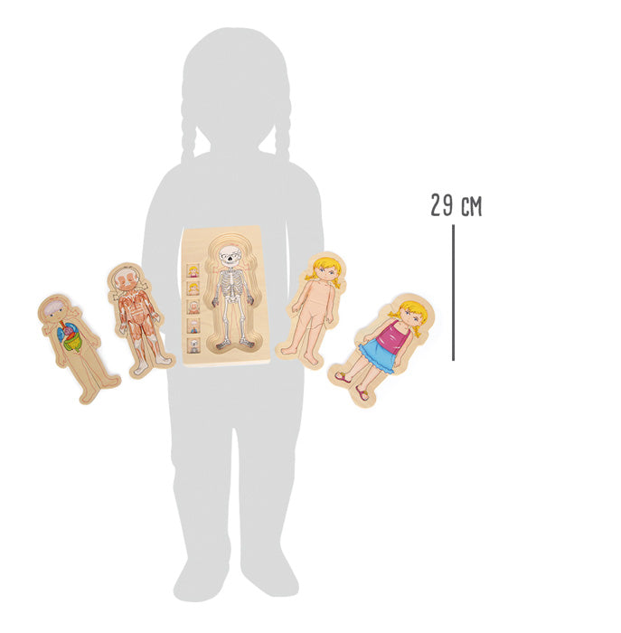 Puzzle a strati Anatomia Ragazza
