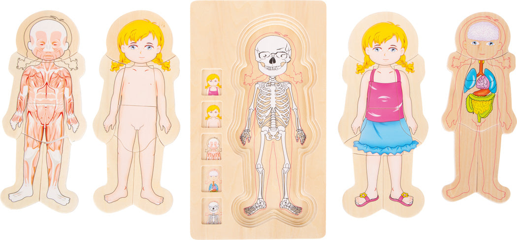 Puzzle a strati Anatomia Ragazza