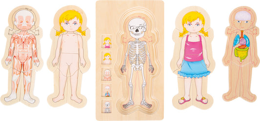 Puzzle a strati Anatomia Ragazza