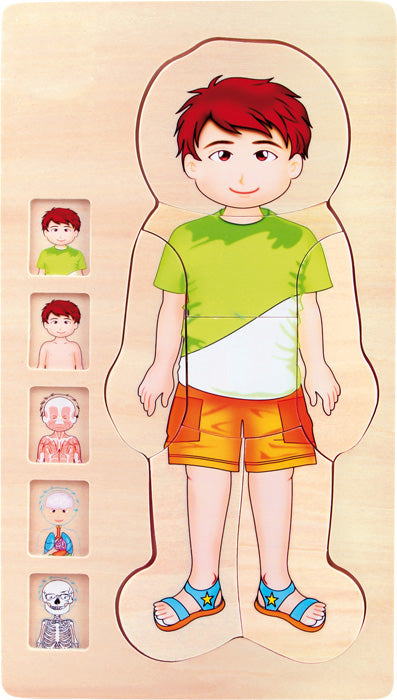 Puzzle a strati Anatomia Ragazzo