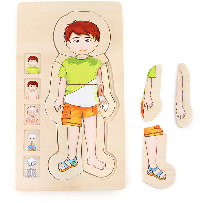 Puzzle a strati Anatomia Ragazzo