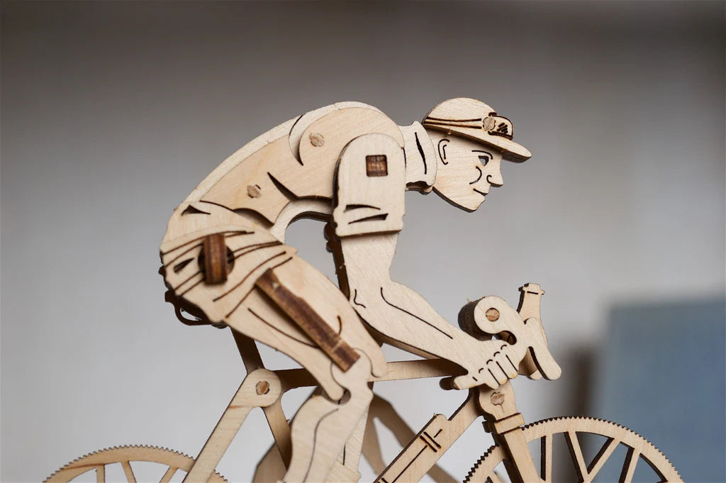 The cyclist