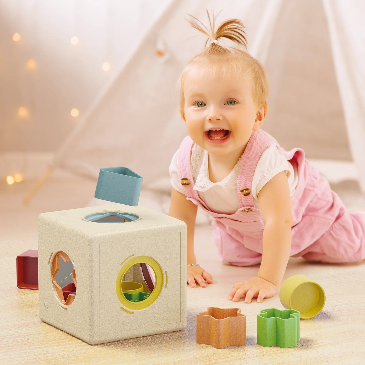 Play Bio Qubo Shape Sorter